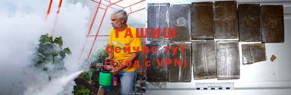 гидра Бронницы