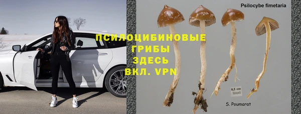 гидра Бронницы