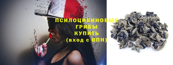гидра Бронницы