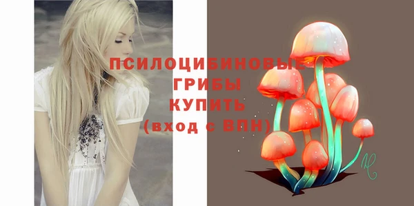 гидропоника Бугульма