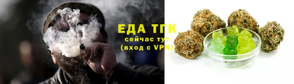 гидра Бронницы