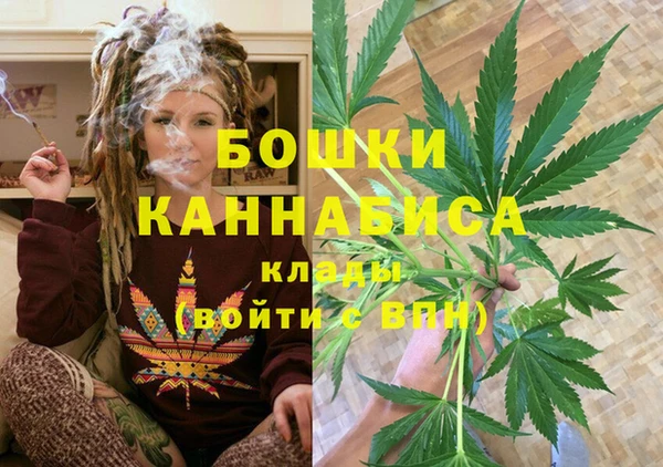 винт Бородино