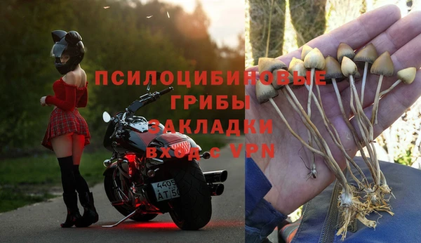 винт Бородино