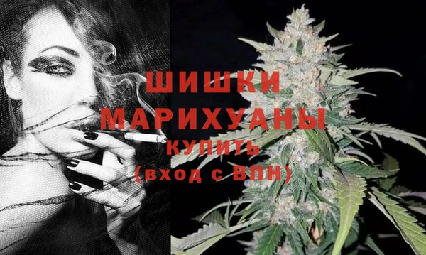 гидра Бронницы