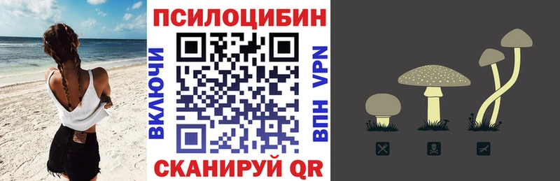 Псилоцибиновые грибы Psilocybine cubensis  Набережные Челны 